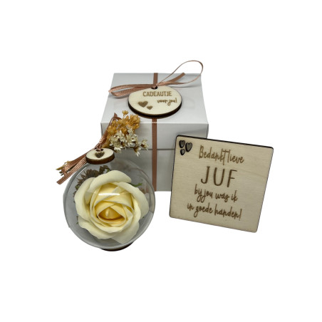 Cadeaudoosje juf - zeeproos