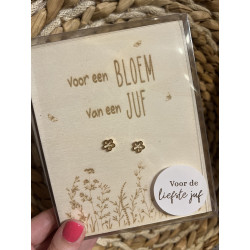 copy of Geschenkbox JUF - handje - groen
