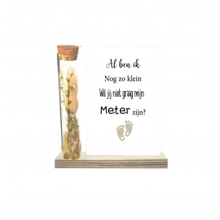 Droogbloemen in buisje "Wil jij mijn meter worden?"-beige