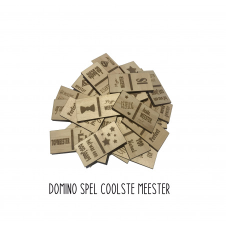 Domino spel coolste meester