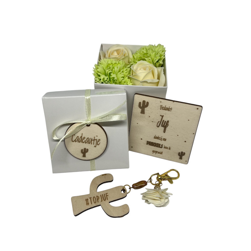 Cadeaudoosje zeeproosjes - cactus