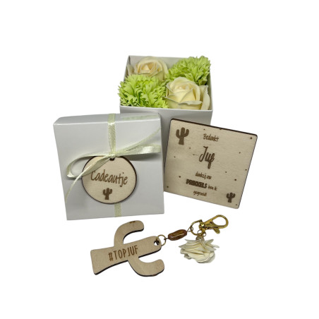 Cadeaudoosje zeeproosjes - cactus