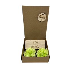 Cadeaudoosje theelichthouder en zeepbloemen