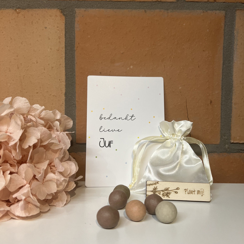 copy of Sleutelhanger JUF | zeester | blauw