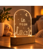 ledlampen